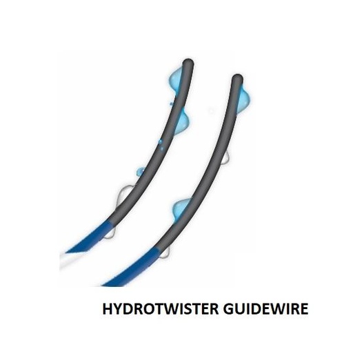 Blue Neem Hydro Twester Wire ( Zebra With Terumo)